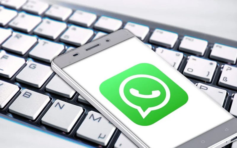 Whatsapp business api