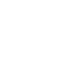 Icon Gitfork White