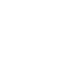 Icon Shield White