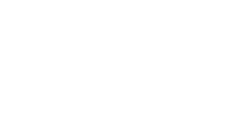 logo Picaso