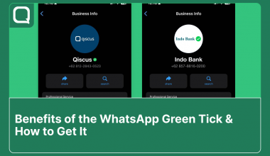 WhatsApp green tick benefit