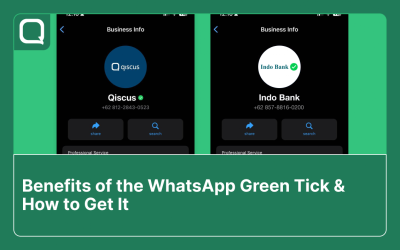 WhatsApp green tick benefit